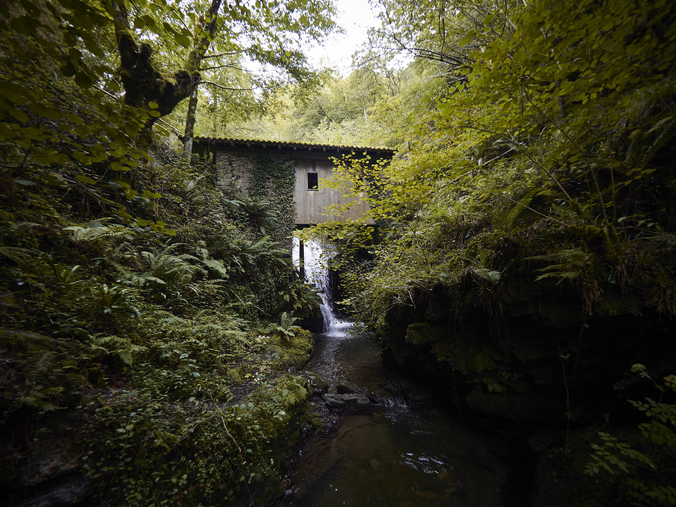 Si hay un momento especial para visitar el Valle del Baztán es el otoño. Enclavado en el norte de Navarra, el Valle de Baztán forma parte del Pirineo atlántico y alberga en su territorio una riqueza natural extraordinaria, patente en cada uno de sus rincones, destacando sobre todo su fauna y flora. Es apreciado por su idílico paisaje, envuelto en una halo de misterio. Rincones como el Molino del Infierno inspiran leyendas y obras literarias como la trilogía de novelas -auténticos bestsellers- de la autora Dolores Redondo. 