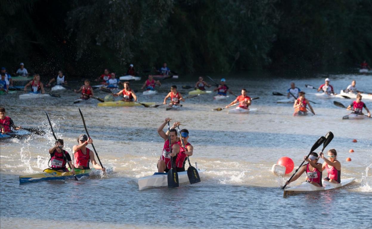 Participantes en la competición. 