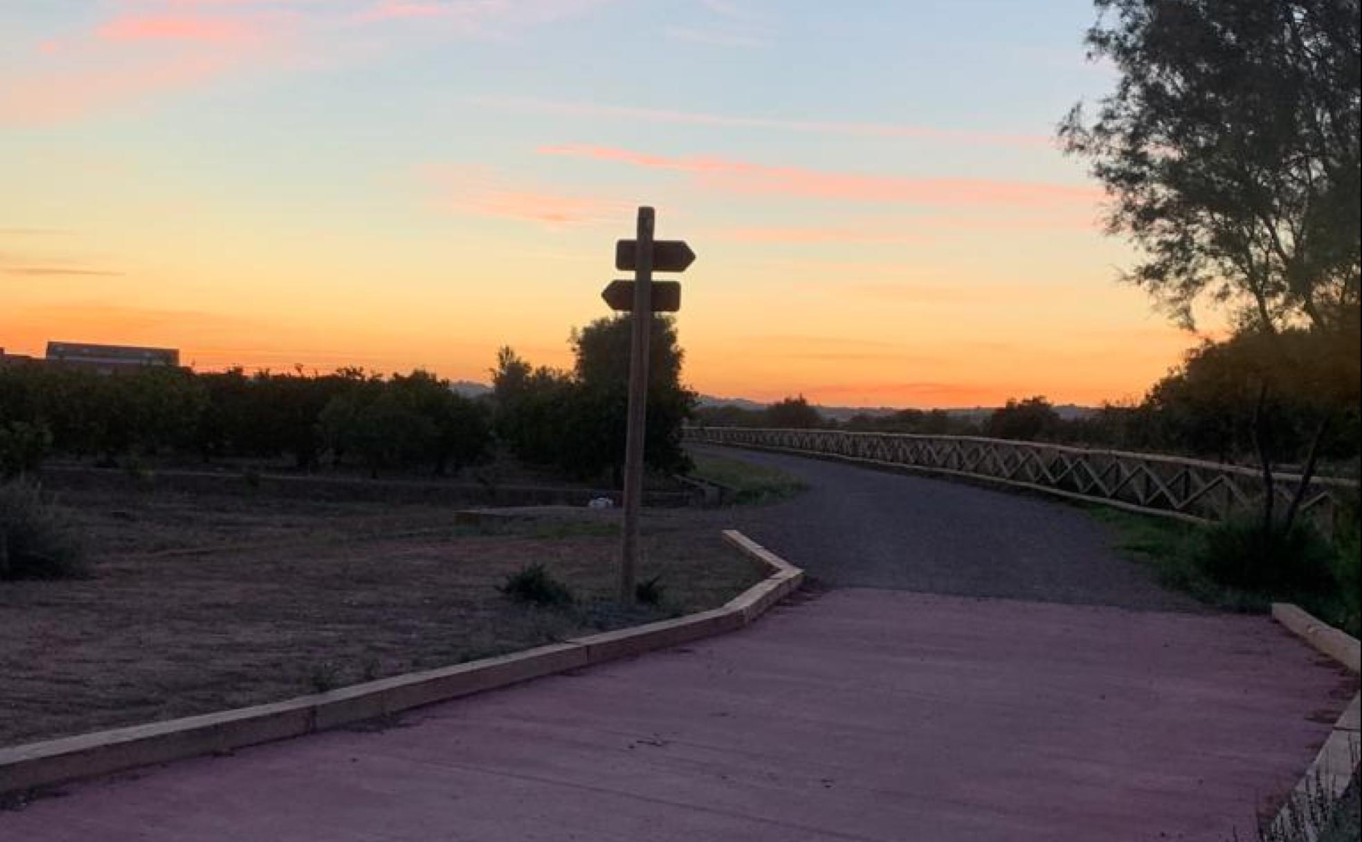 Uno de los tramos del recorrido a su paso por Alfara del Patriarca. 