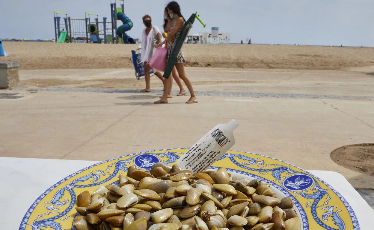 Comer en la playa en Valencia | Las tellinas de toda la vida