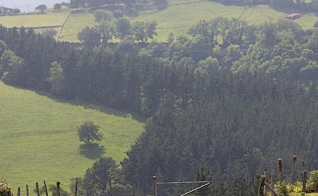 Siete consejos para trazar de manera eficaz una curva