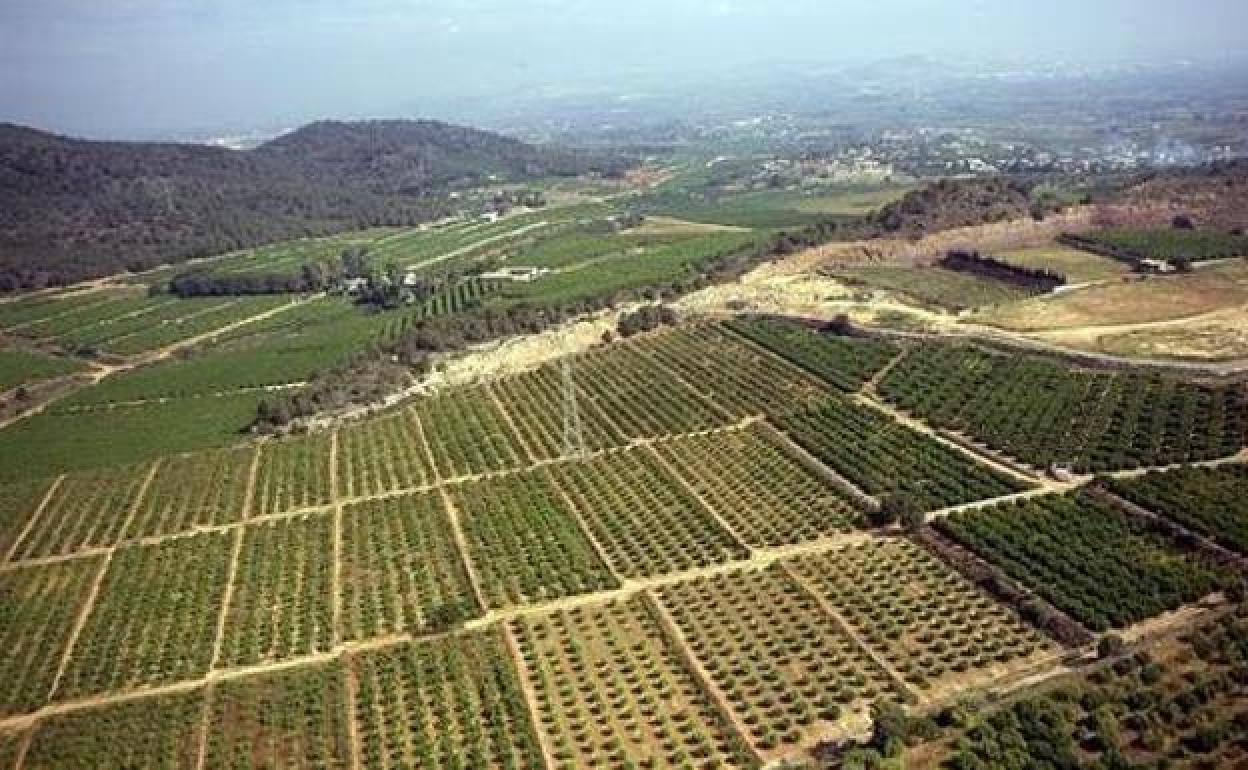 Terrenos previstos para el plan Porxinos.