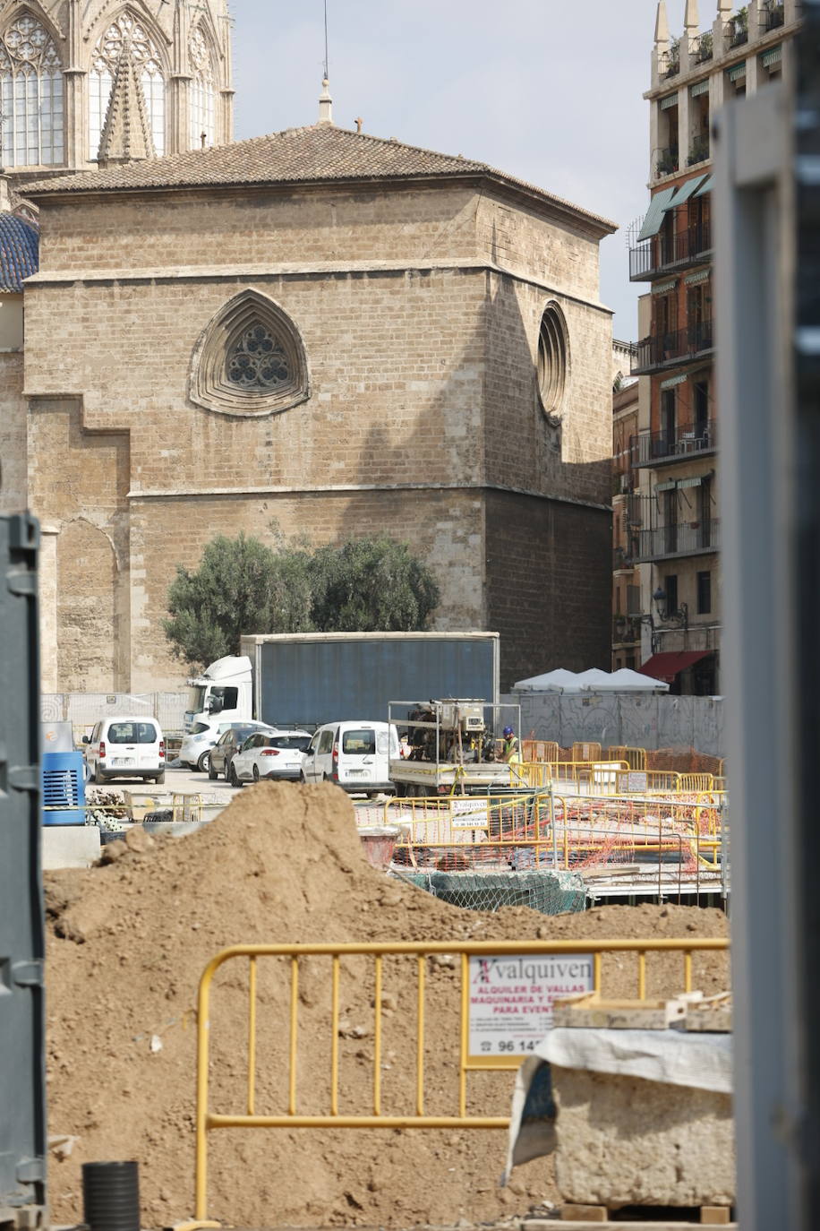 Las obras de reforma de la plaza de la Reina se llevan por delante un ejemplar de gran tamaño junto a la catedral. 