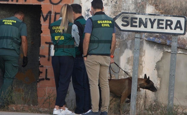 El perro que busca a Marta Calvo puede detectar sangre hasta en ropa lavada varias veces