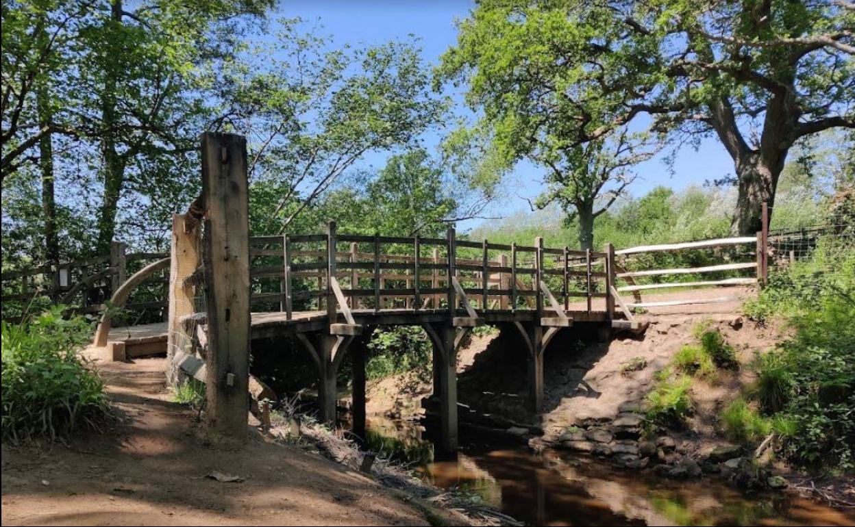 El puente de Winnie The Pooh. 