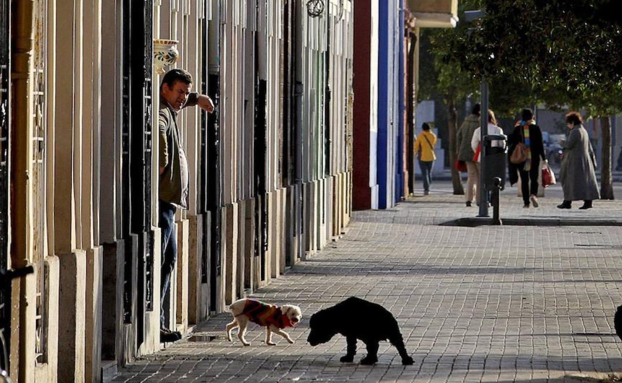 El barrio del Cabanyal, en la imagen, es uno de los afectados. 