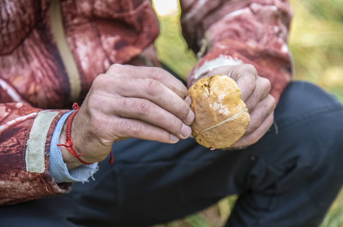 No todas las setas son de otoño, pero el otoño constituye una temporada venerable para los frutos de los hongos, y en consecuencia para nuestras despensas. Viajamos con Clara Puig y Borja Susilla, del restaurante Tula de Jávea hasta los cercanos montes de Teruel, en las inmediaciones de Tramacastilla, en busca de setas de temporada.