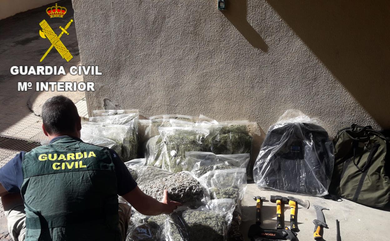 Material y plantas intervenidas en la operación de la Guardia Civil. 