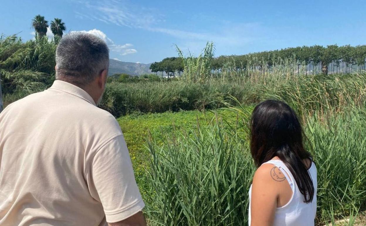 El alcalde de Pego y la edil de Medio Ambiente, observando a finales de agosto las plantas invasoras en el Racons. 