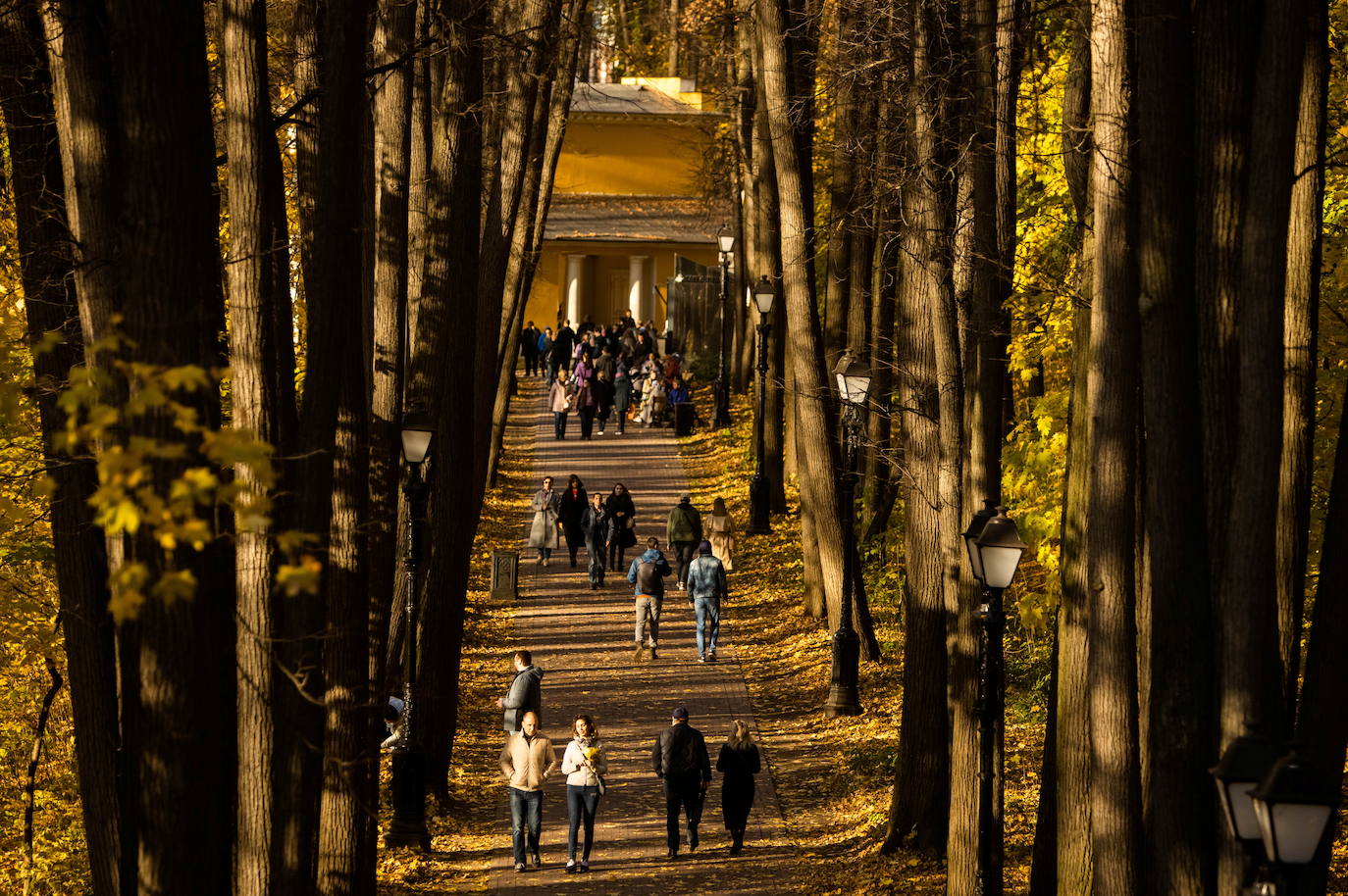 El otoño para muchos es la estación más bonita del año, en la que el frío comienza a abrirse paso entre un tinte de colores cálidos que cubre cada rincón. El verde se transforma en tonos naranjas que dejan paisajes dignos de películas, como el de la imagen, en Moscú (Rusia). 