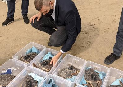 Imagen secundaria 1 - Suelta de tortugas en Cullera. 