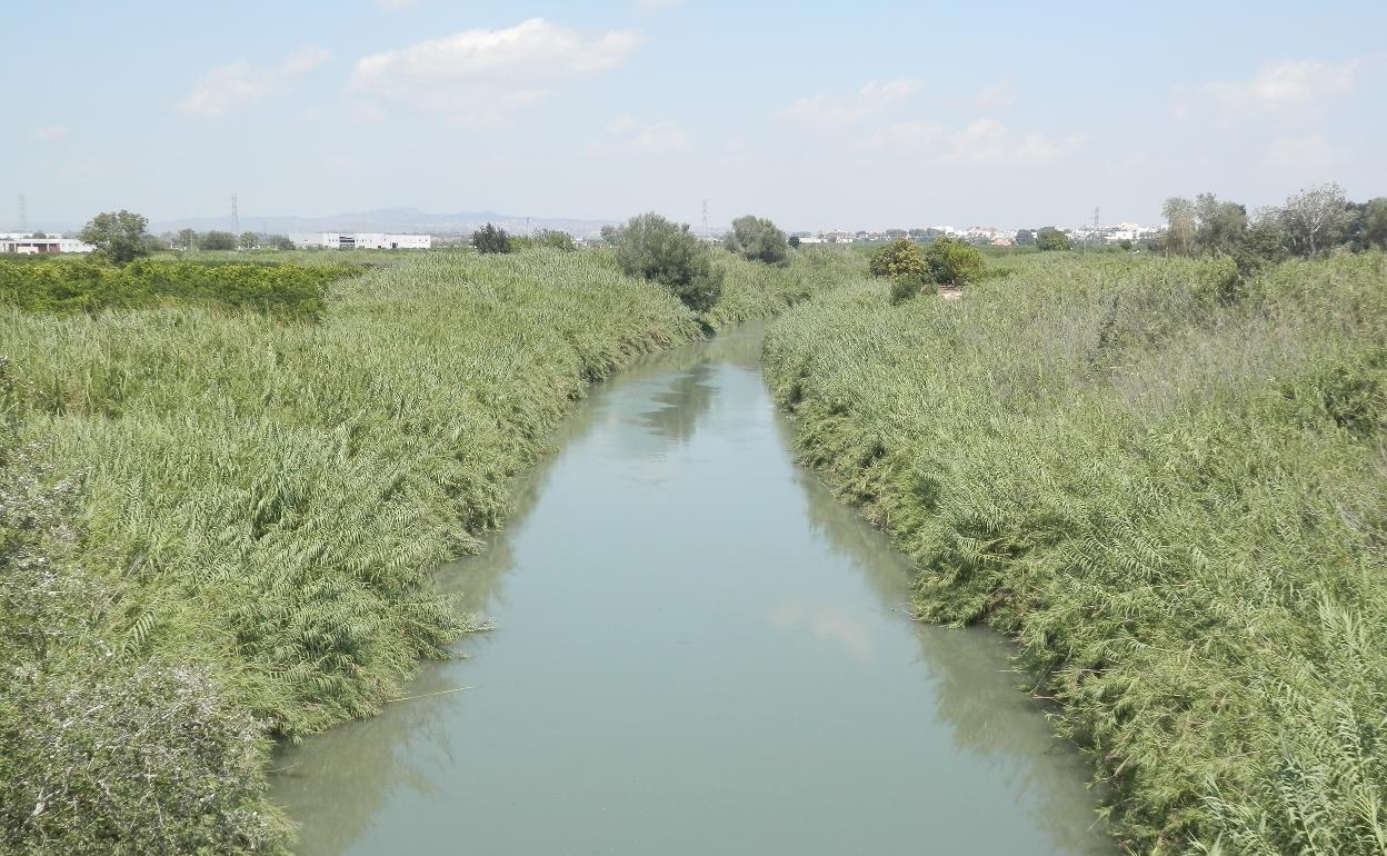 Río Júcar a su paso por Alzira. 