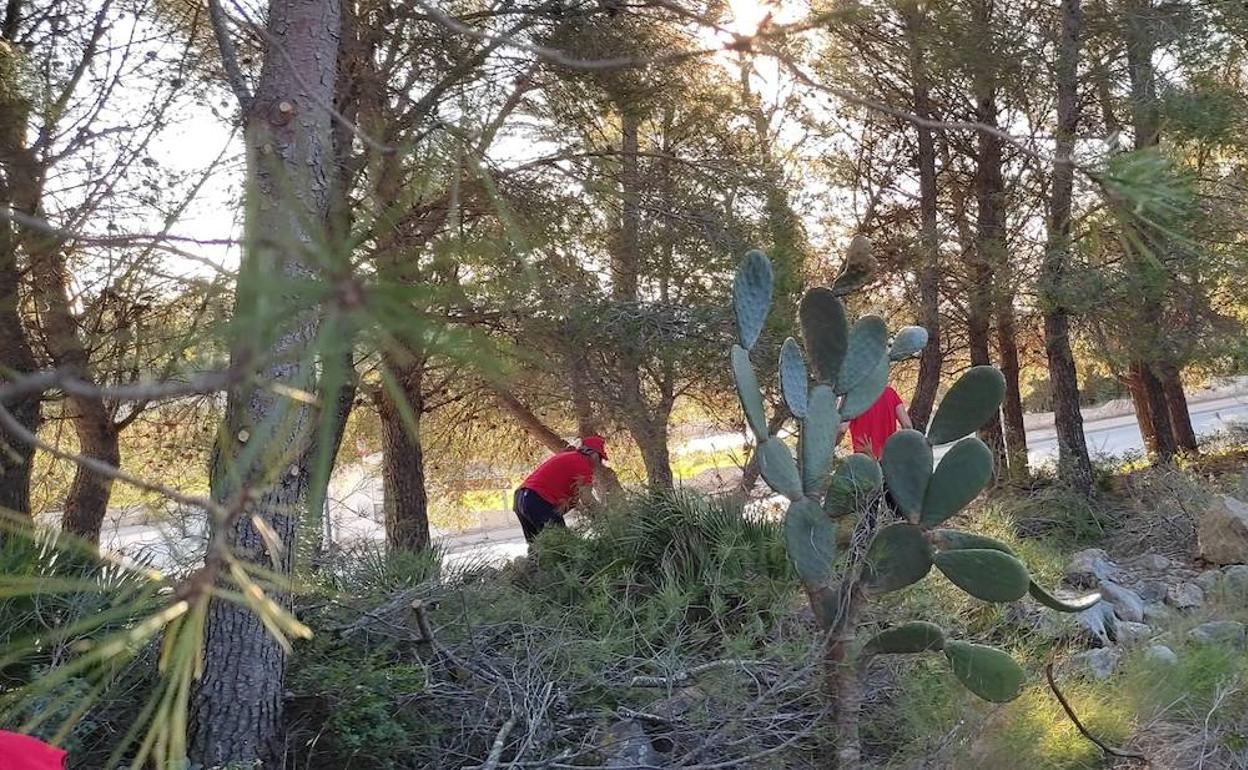 La brigada limpiando y desbrozando una zona de Benitatxell. 