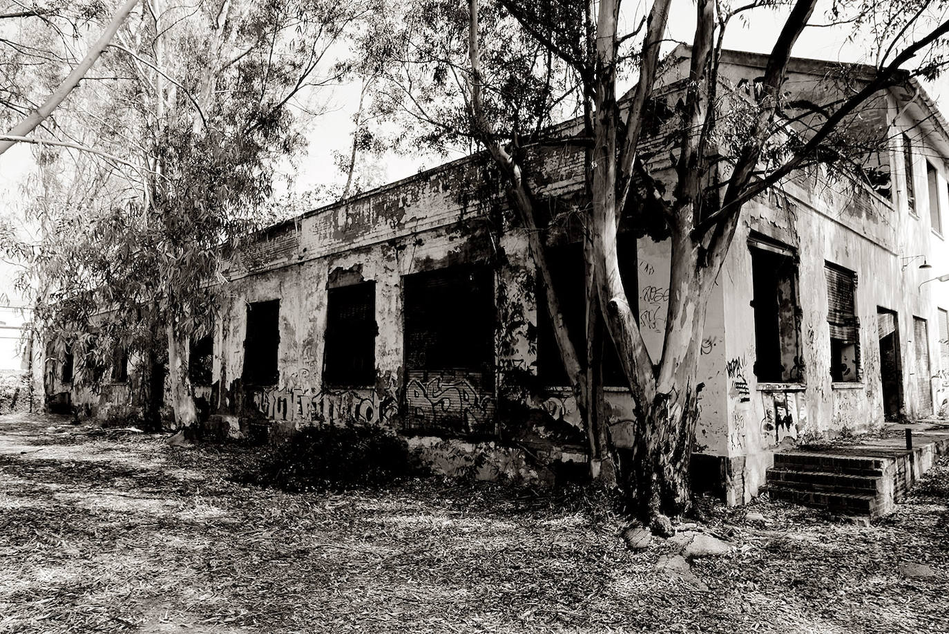 Durante décadas fue apodada como 'El Vaticano', una exclusiva zona residencial hecha por y para directivos vascos. Casi un siglo después sólo quedan sus ruinas, que recuerdan el pasado industrial de Puerto de Sagunto, un enclave estratégico que fue bombardeado más de cien veces en la Guerra Civil. Casas abandonadas y en ruinas son otro de los lugares más terroríficos de la Comunitat, donde el acceso está totalmente prohibido. 