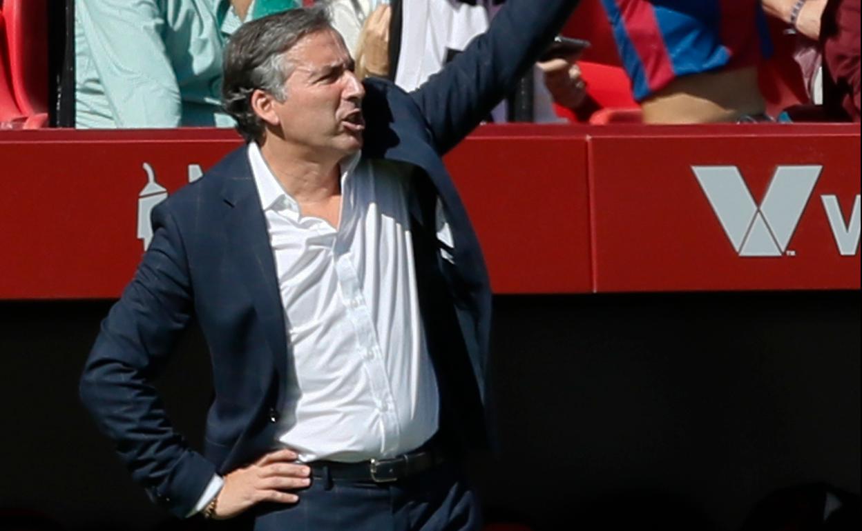 Javier Pereira, dando instrucciones en la banda del último partido ante el Sevilla