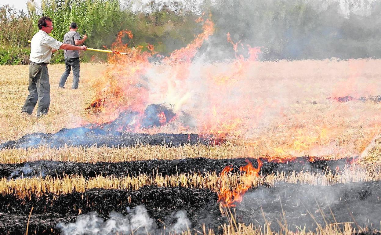 Los trabajadores prenden fuego a la paja en un campo de arroz de El Palmar. 