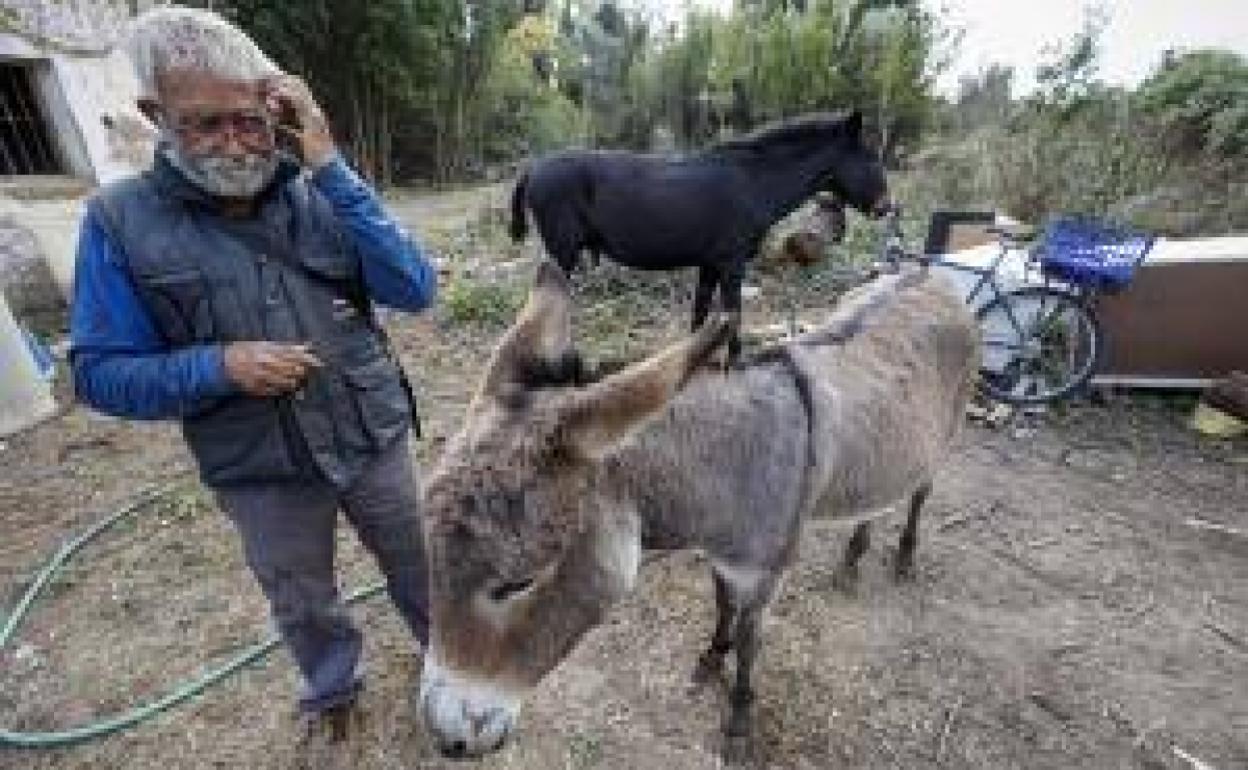 Juan Lebrián, con alguno de los burros supervivientes en su granja del Grau castellonense.