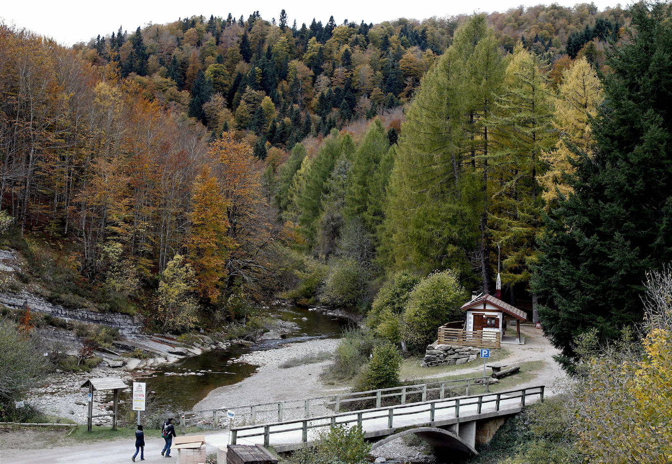 Este lugar navarro es el segundo hayedo más grande de Europa, después de la selva negra de Alemania y según cuenta la leyenda está repleto de misteriosas criaturas. 