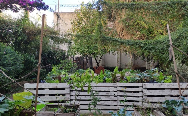 Imagen principal - Arriba, el huerto del patio al que se abre la cantina. Abajo, detalles en las paredes del local.