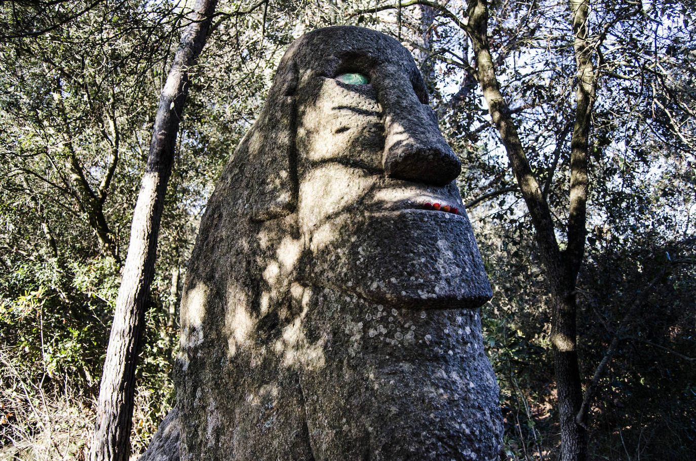 Fotos: El bosque encantado de Orrius, un lugar mágico y misterioso