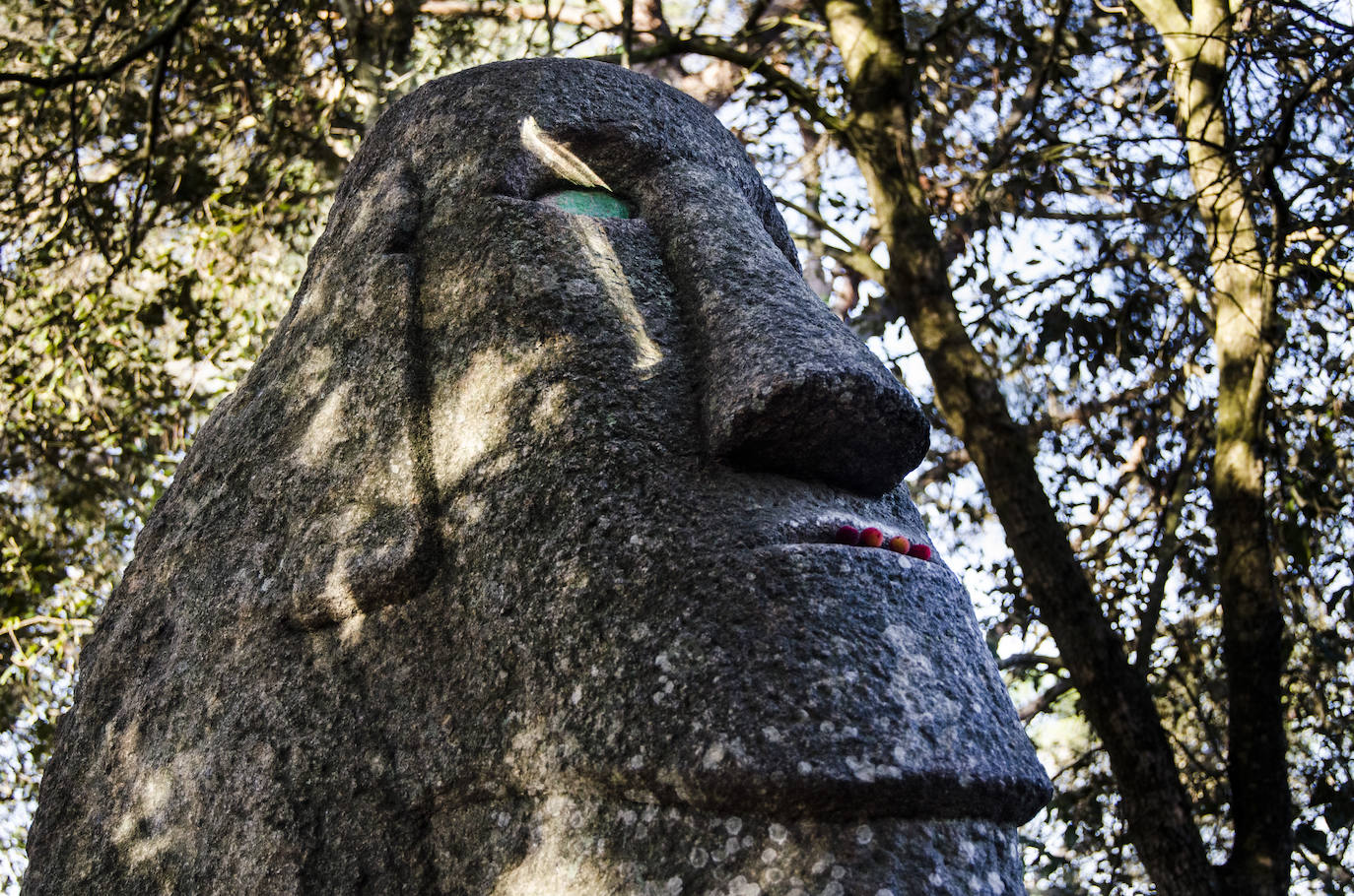 Fotos: El bosque encantado de Orrius, un lugar mágico y misterioso