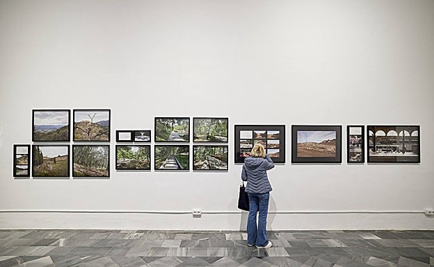La muestra exhibe 37 obras de arte. 