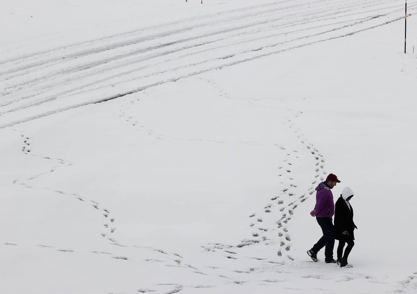 La primera nevada del otoño de 2021 cae en el norte de la península ibérica. 