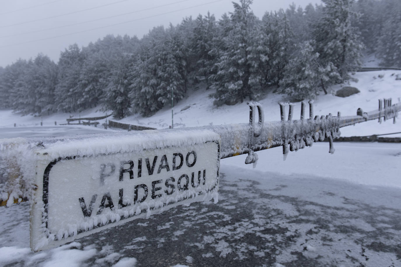 La primera nevada del otoño de 2021 cae en el norte de la península ibérica. 