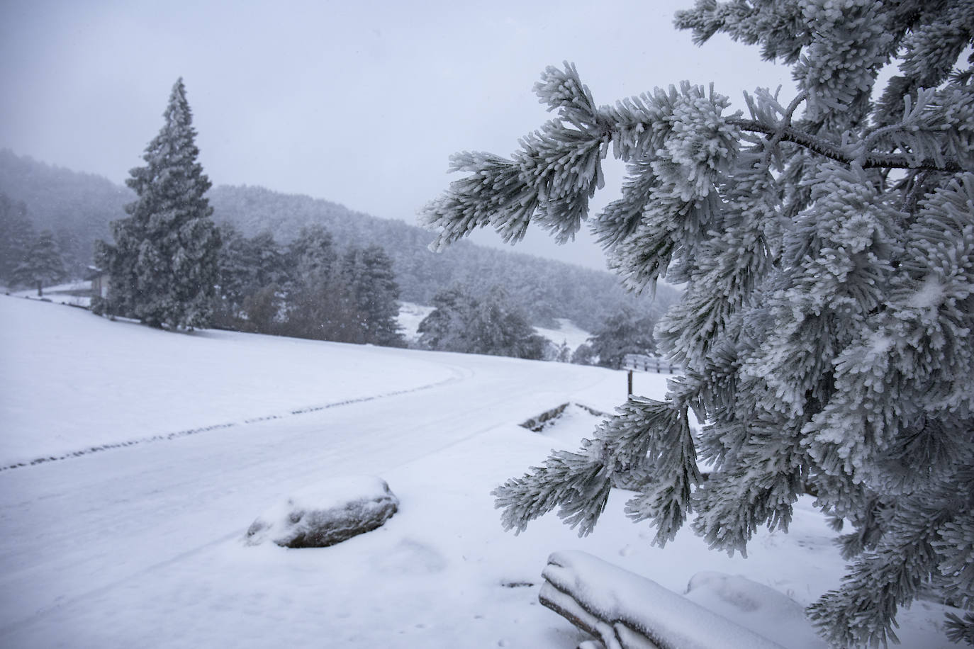 La primera nevada del otoño de 2021 cae en el norte de la península ibérica. 