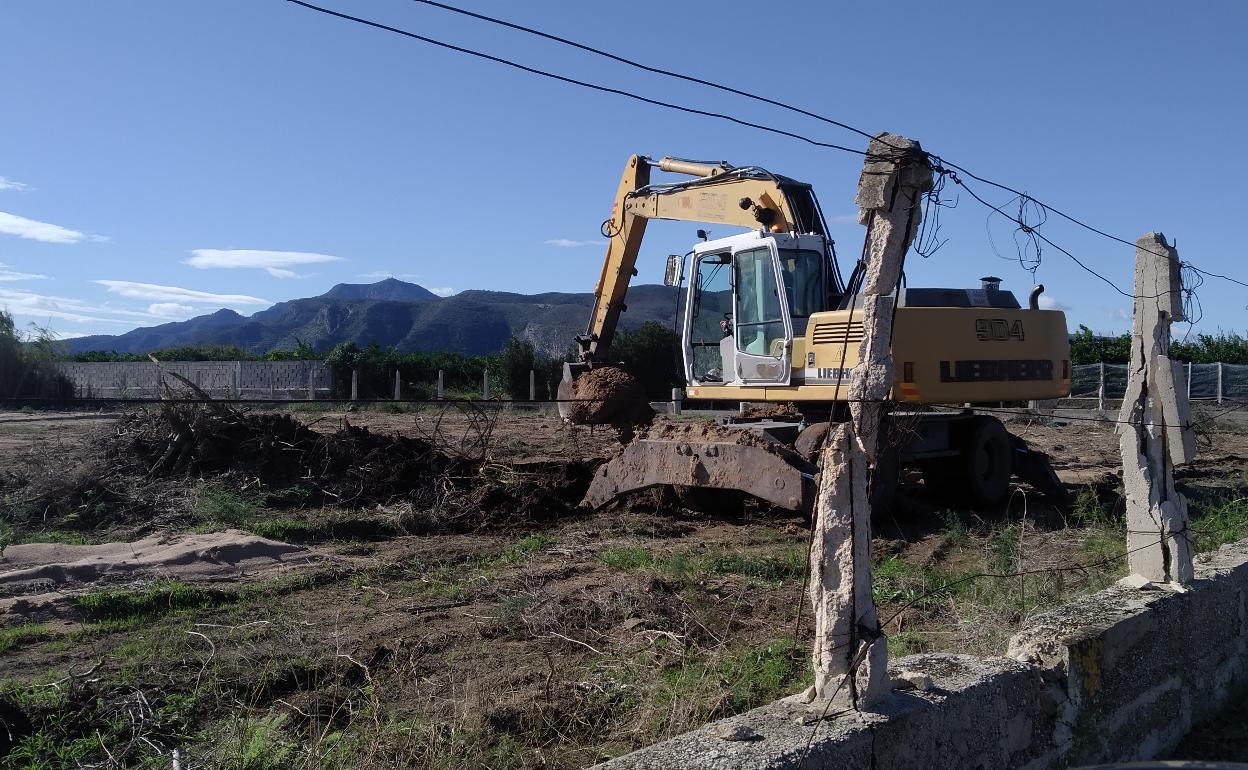 Máquinas trabajando en una parcela junto a la playa de Tavernes. 