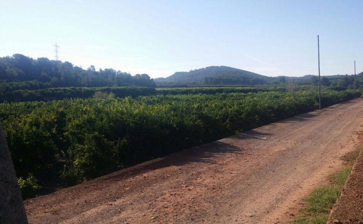 Paraje de Porxinos en Riba-roja de Túria. 