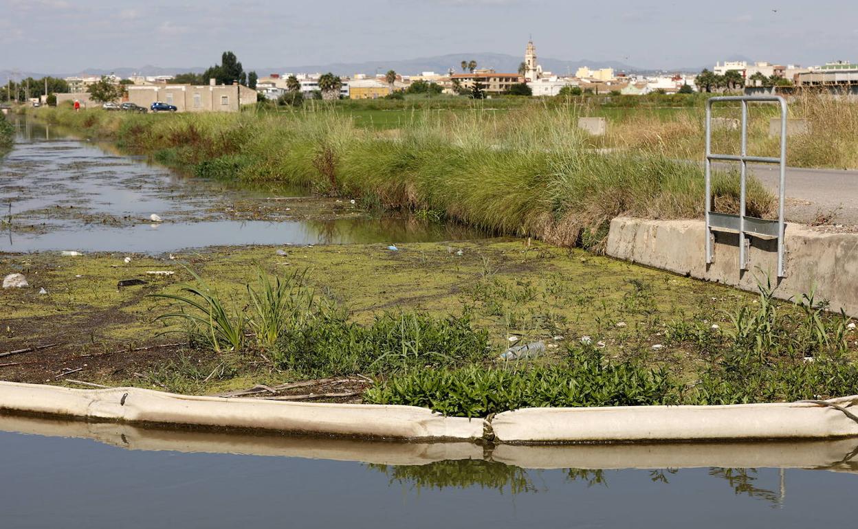 Una acequia llena de basura en la Albufera. 