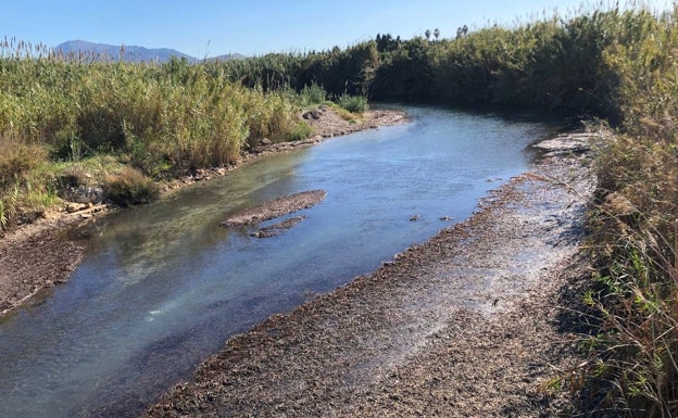 Restos en el lecho del río, junto al puente de la carretera de Les Marines, la CV-730. 