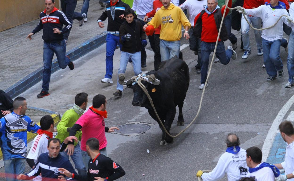 Los astados no pasarán este año por el Pont Vell de Ontinyent. 