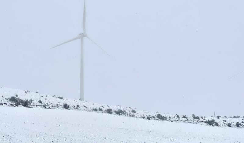 Nieve en Guadalajara