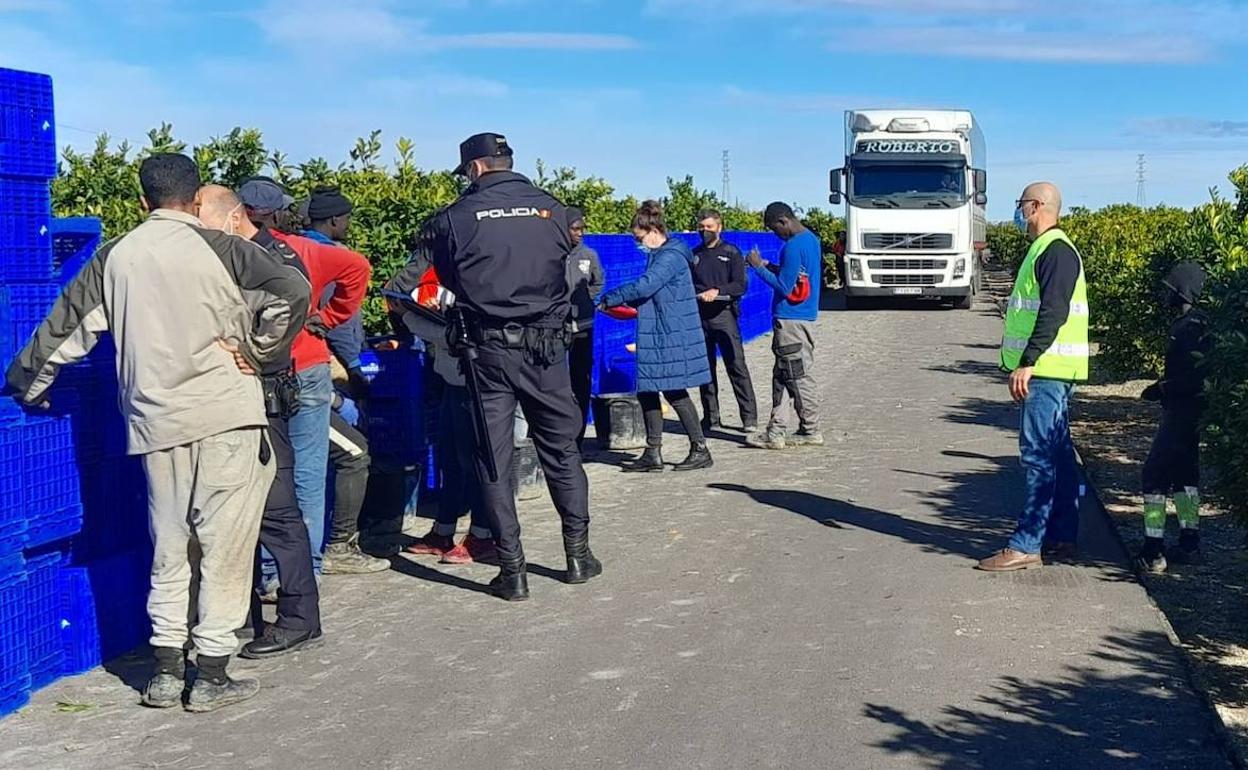 Campaña de vigilancia en un campo de la Ribera. 