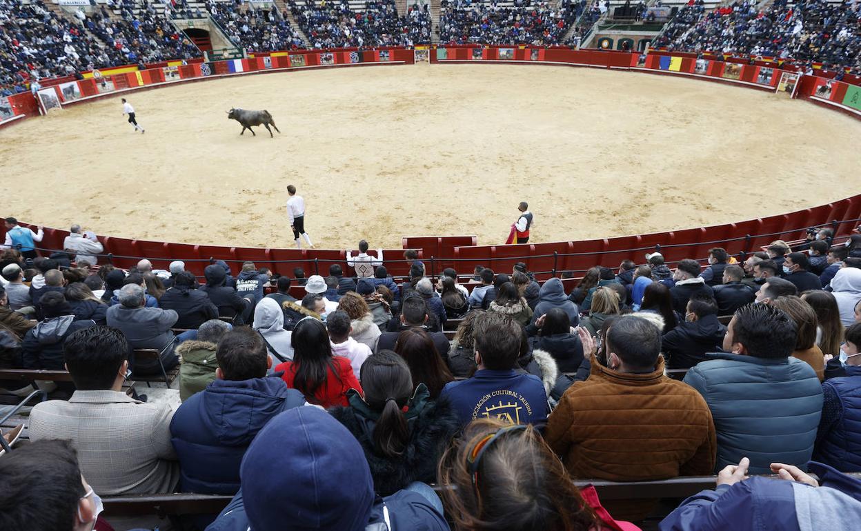 Campeonato europeo de recortes en la plaza de Toros de Valencia. 