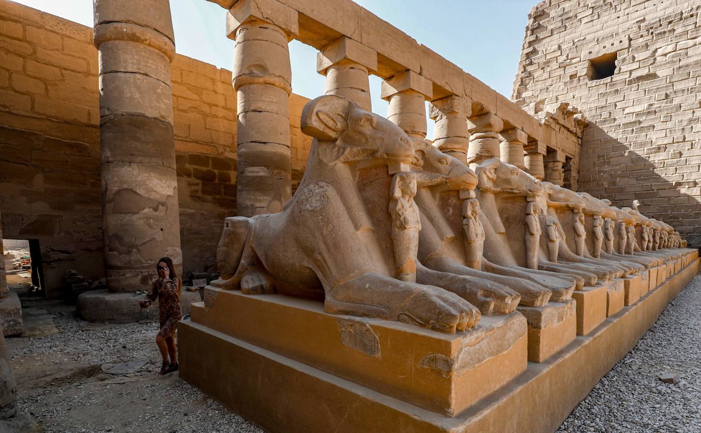 Fotos: Egipto devela el paseo de los carneros en Karnak