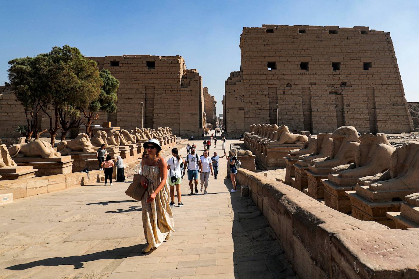 Fotos: Egipto devela el paseo de los carneros en Karnak