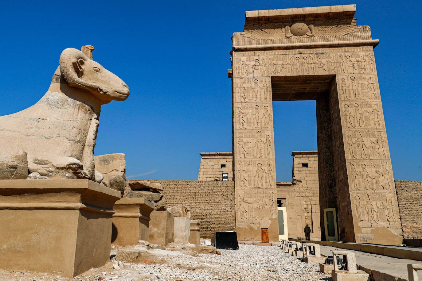 Fotos: Egipto devela el paseo de los carneros en Karnak