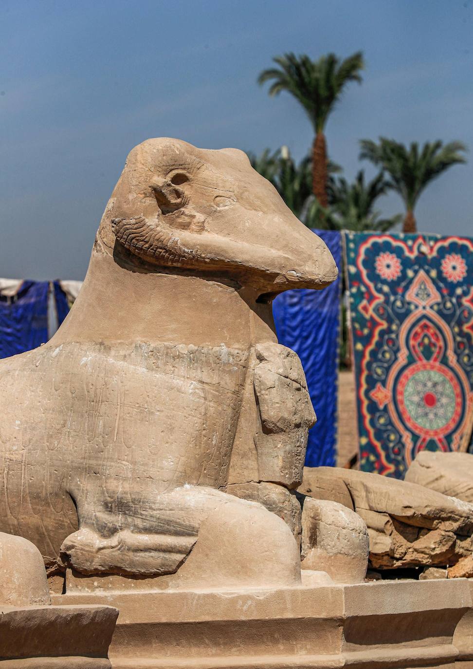 Fotos: Egipto devela el paseo de los carneros en Karnak