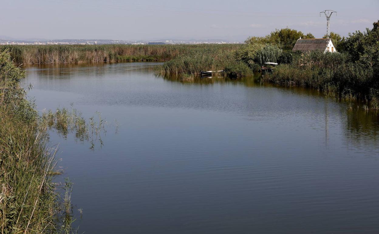 Parque Natural de la Albufera. 