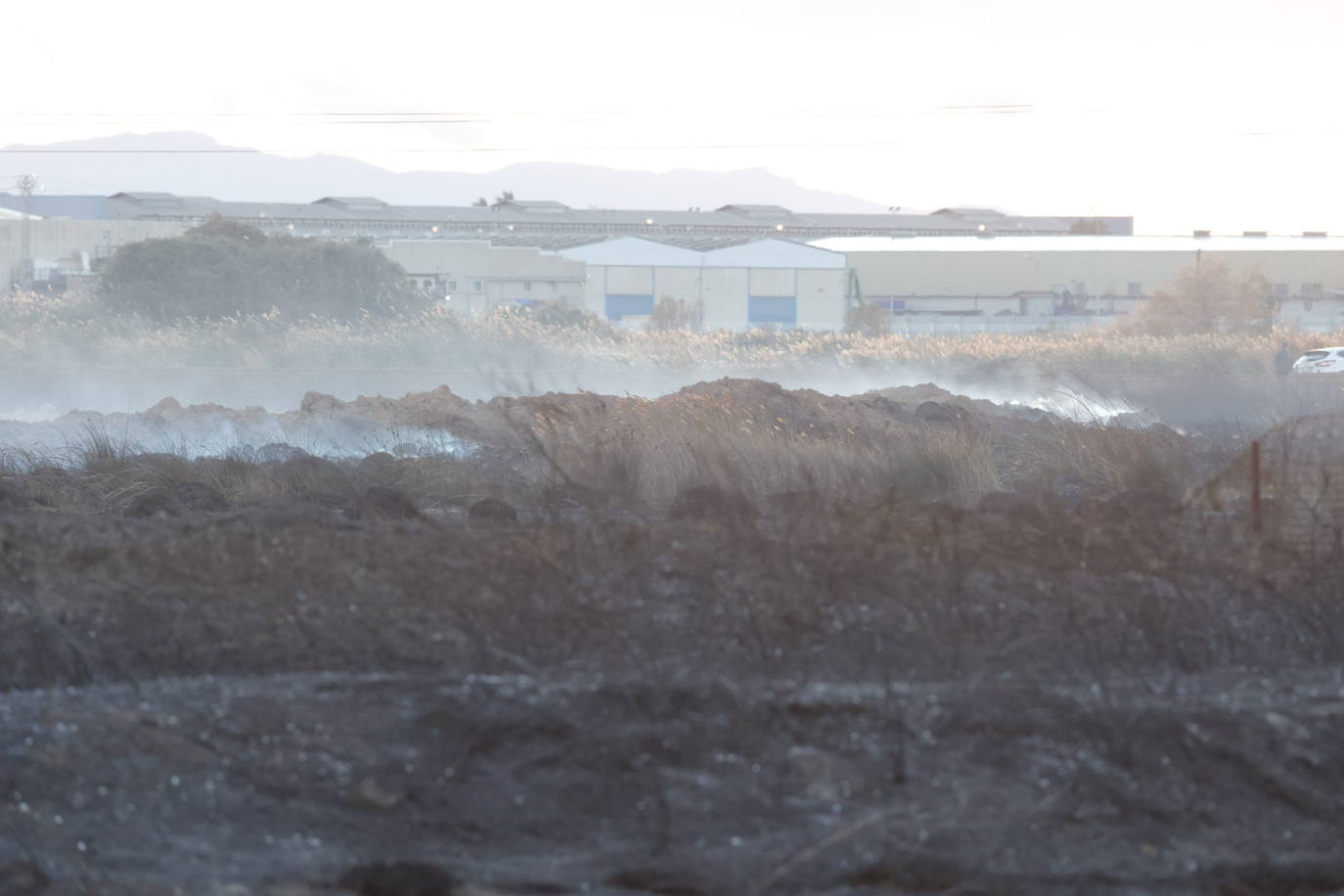 Fotos: Incendio en El Puig, próximo a viviendas