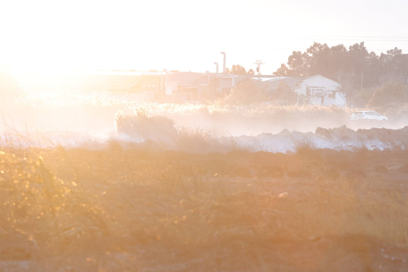 Fotos: Incendio en El Puig, próximo a viviendas