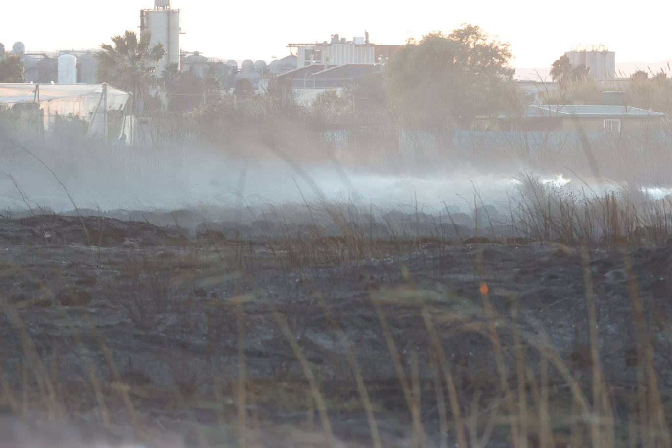 Fotos: Incendio en El Puig, próximo a viviendas