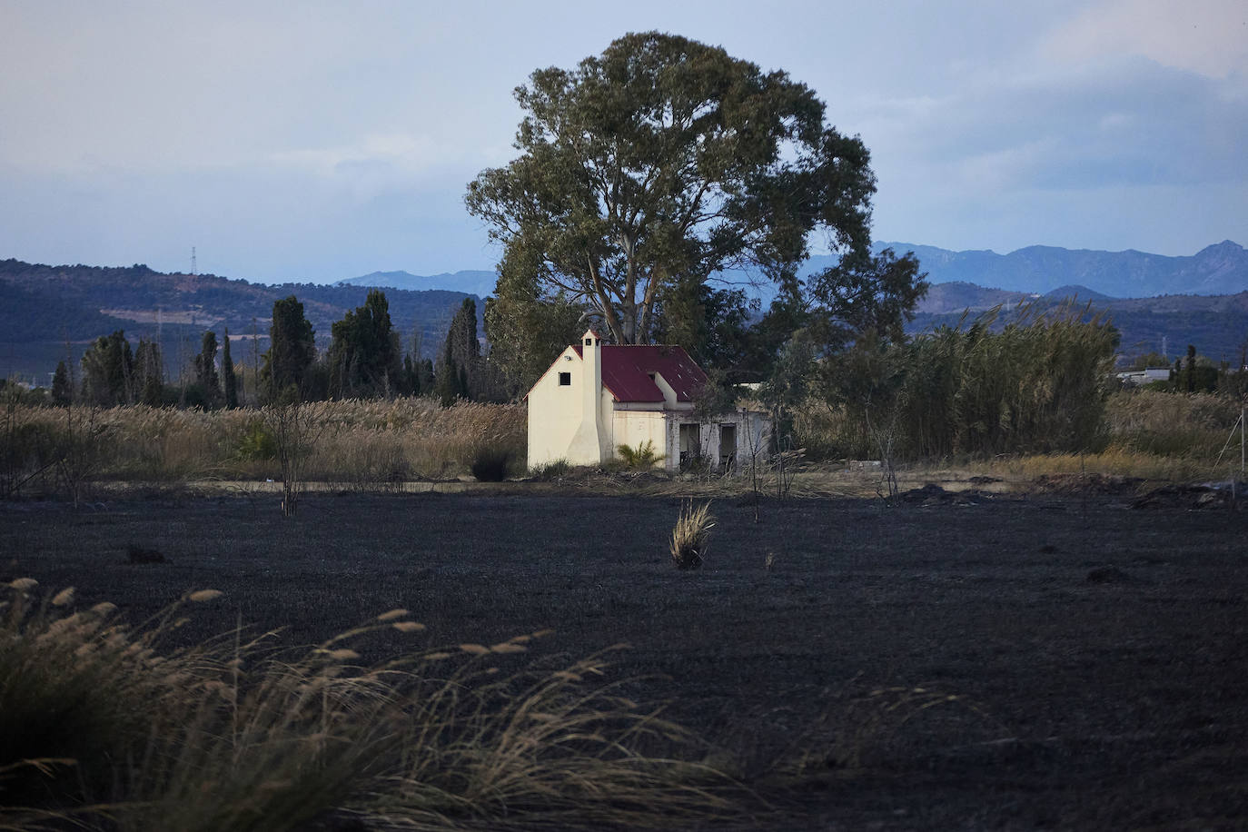 Fotos: Incendio en El Puig, próximo a viviendas
