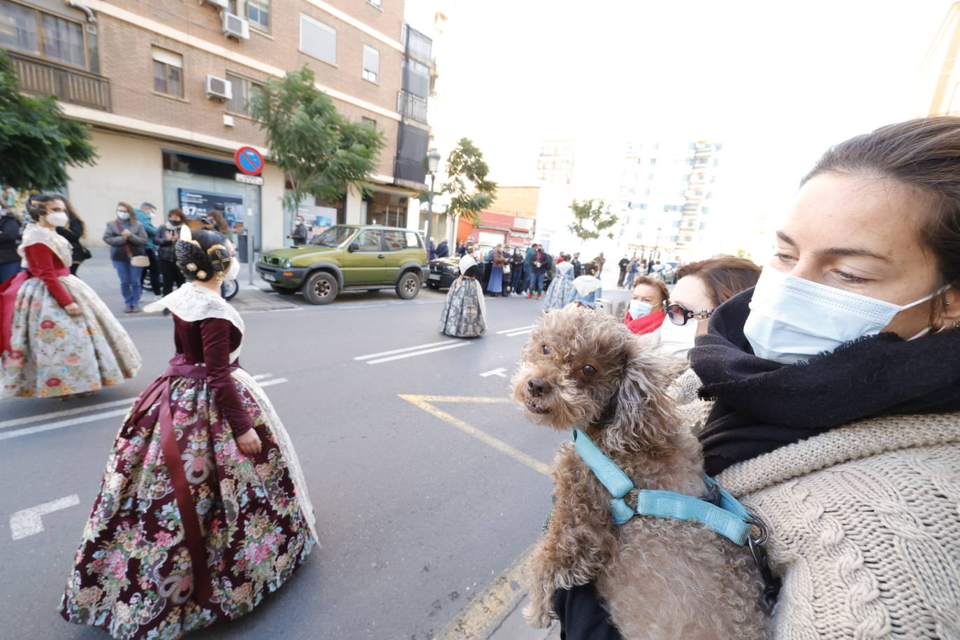 Fotos: Homenaje a la Senyera en Valencia