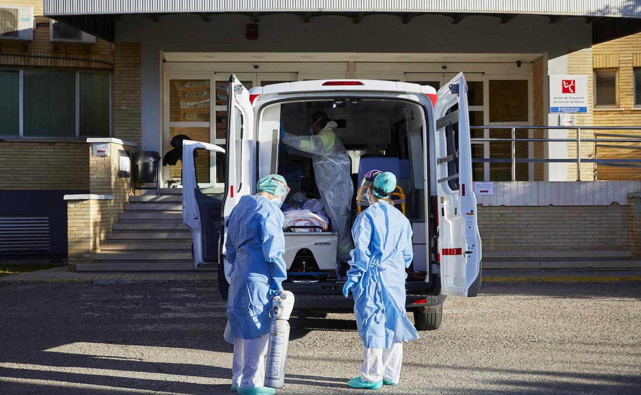 Sanitarios atienden a pacientes. 