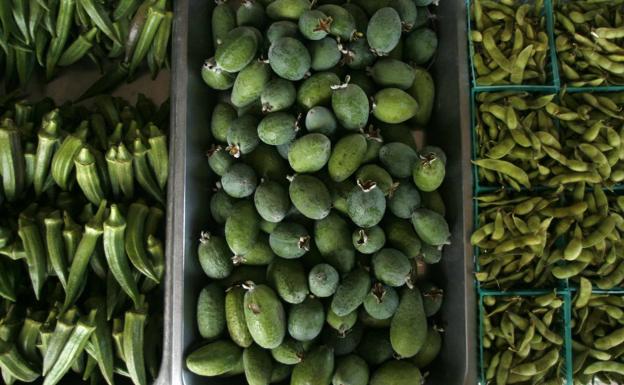 El superalimento 'multiusos' bajo en calorías que reduce la fatiga, ayuda a adelgazar y mejora la memoria