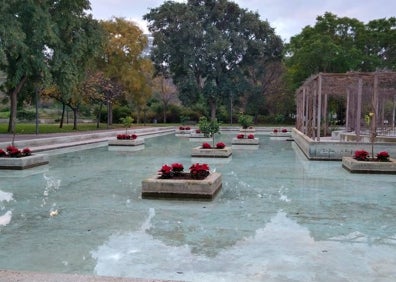 Imagen secundaria 1 - Plantas de Pascua en la plaza de la Almoina y en el Jardín del Turia. 